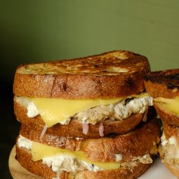 Tuna Melts Sandwich