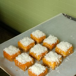 Coconut Lemon Slice