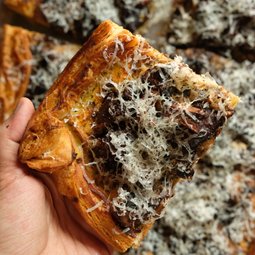 Mushroom Galette with Herb Ricotta