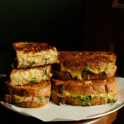 Weekday Miso Tuna Melts